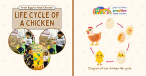 nurseries in Sharjah